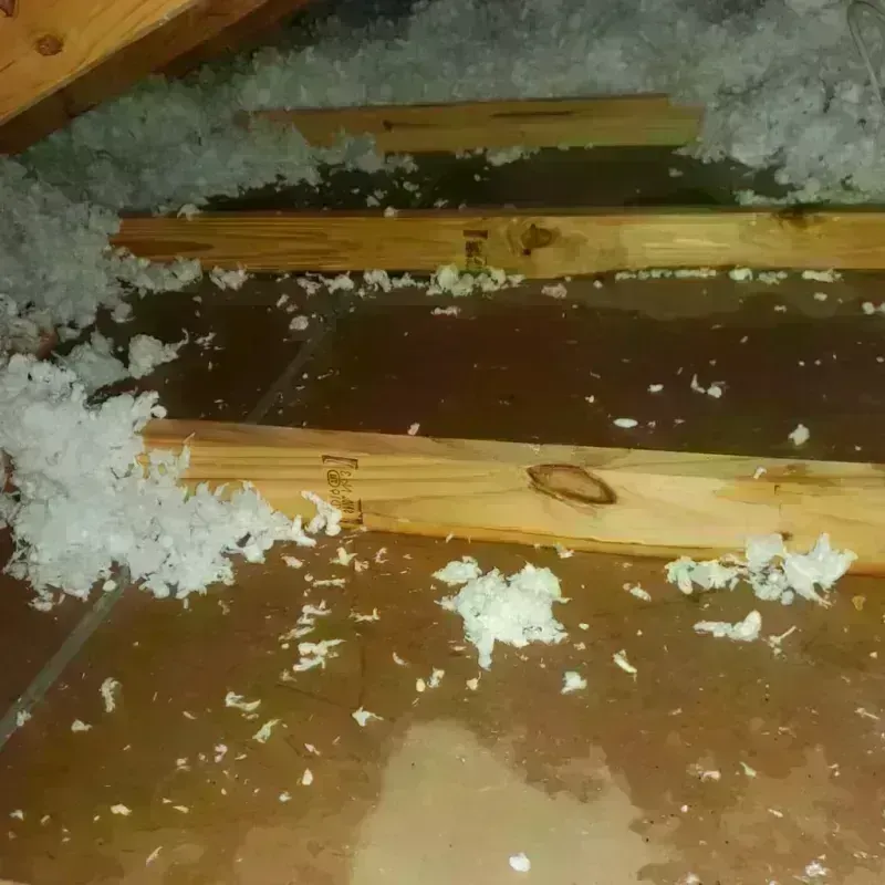 Attic Water Damage in Corsicana, TX