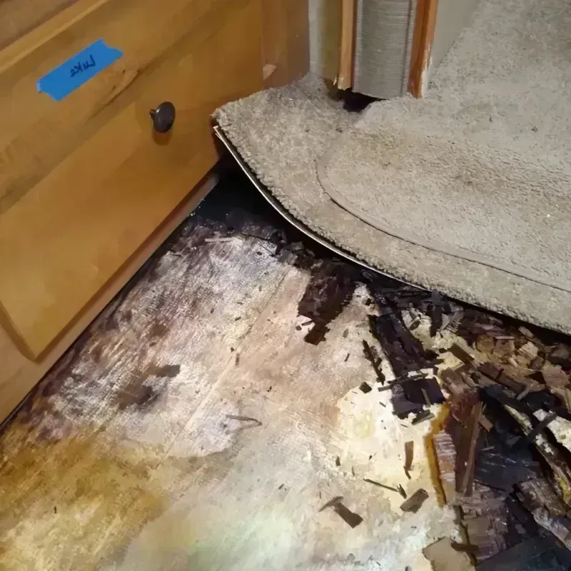 Wood Floor Water Damage in Corsicana, TX